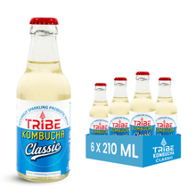 Load image into Gallery viewer, Experience the Finest Classic Kombucha