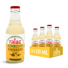 Load image into Gallery viewer, Delight in the Zest of Gingerade Kombucha