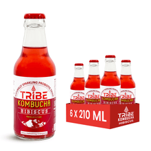 Load image into Gallery viewer, Hibiscus Lime - Buy 100% Organic Kombucha