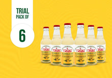 Load image into Gallery viewer, Delight in the Zest of Gingerade Kombucha