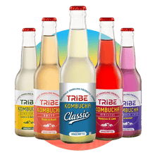 Load image into Gallery viewer, Assorted Pack of Kombucha