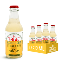 Load image into Gallery viewer, Delight in the Zest of Gingerade Kombucha

